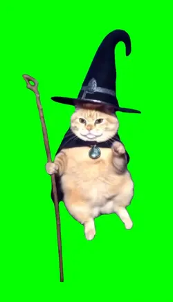 Wizard kitty 