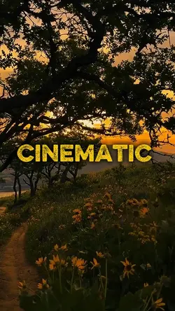 4 Clips Cinematic