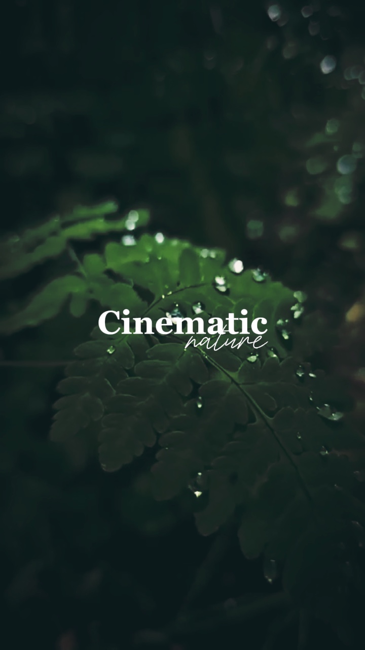 Cinematic Vibes❤️
