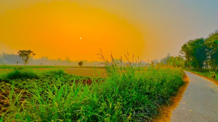 প্রকৃতি ভিডিও /<