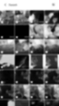 ss gamon blur