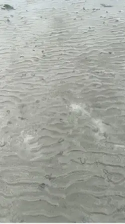 Rettet sie als erste