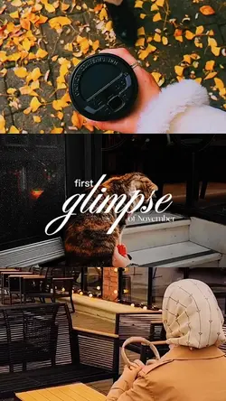 Glimpse of November 