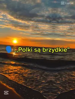 szablon