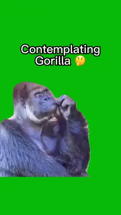 Gorilla Thinking 🤔 