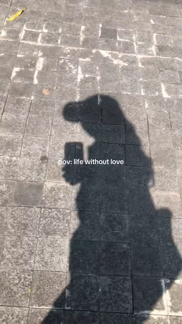 pov : la vie sans 