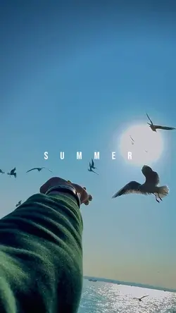 Summer | Wavinโ Flag