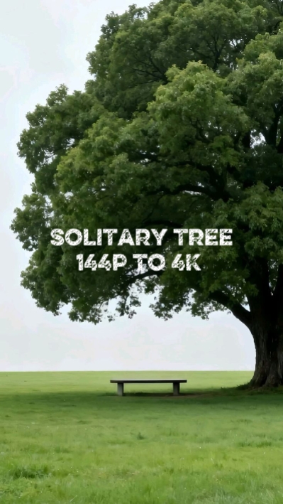 Tree 144p to 4K