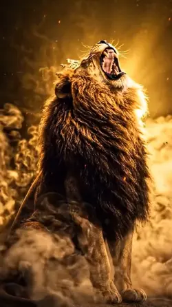 lion king
