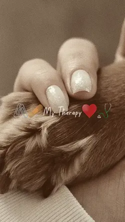 Dog Lovers Therapi