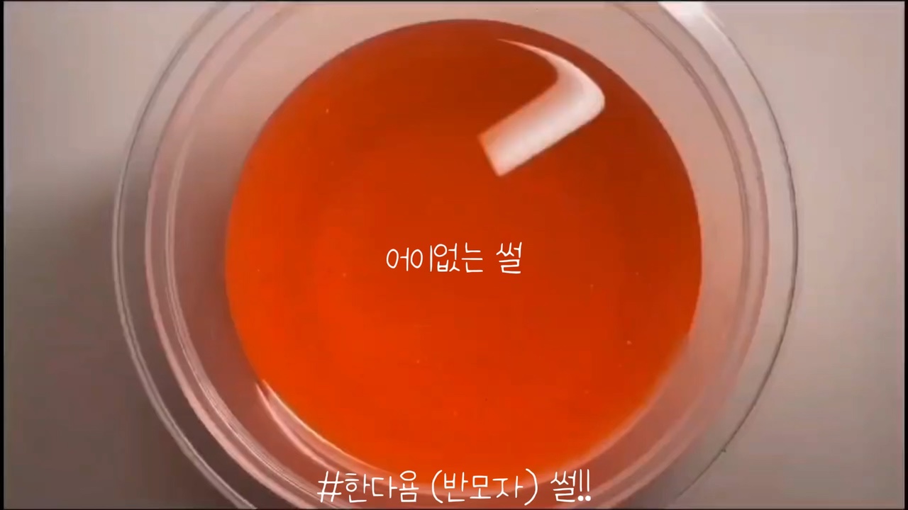 어이없는 썰 /썰 받아유
