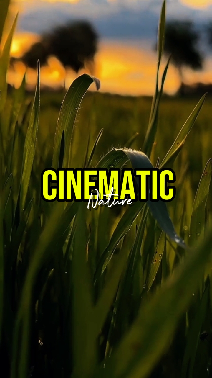 CINEMÁTICO 