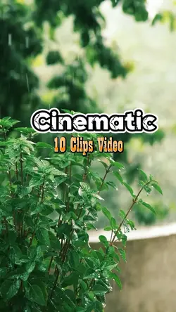 Cinematic 10 Video