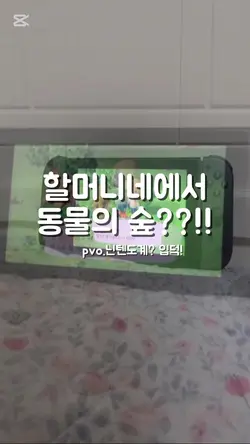 동숲계!