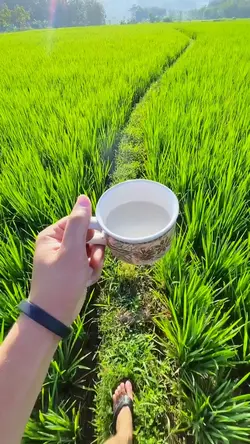 2 videos aesthetic