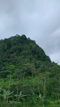 Alam