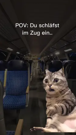 Im Zug verschlafen 