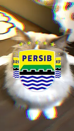 jj persib teaa