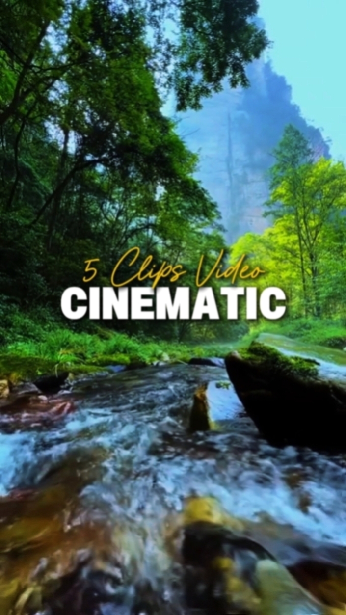 5 Clips Video 