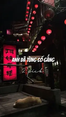 Anh Từng Cố Gắng
