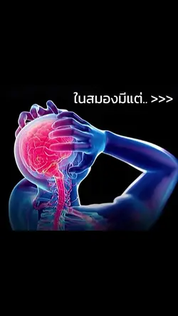 ในสมองมีแต่..>>>