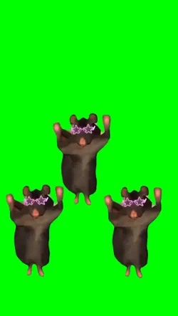 CUSTOM RAT DANCE