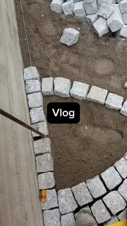 Vlog
