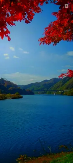 心拍数＃0822　生き残れ系