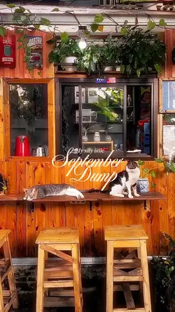 My silly Sept dump 