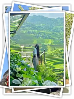 8Pic Frame Aesthetic