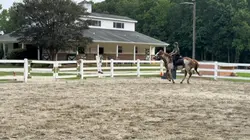 Raws from lesson