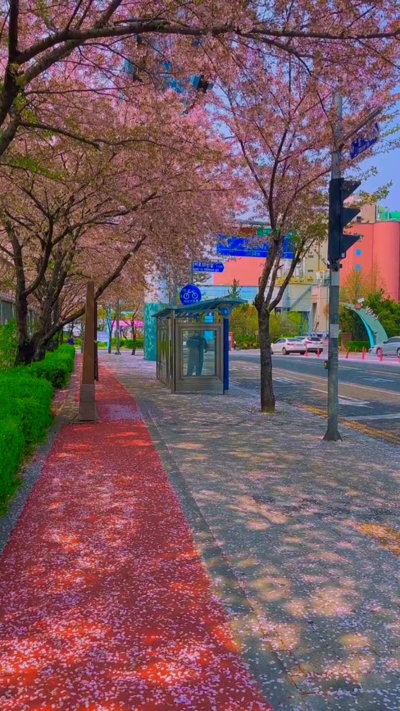 한국 분위기