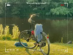 ✩ camera / film ✩