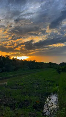 Nhạc chill