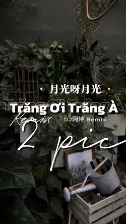 月光呀月光-DJ(庄东茹) 