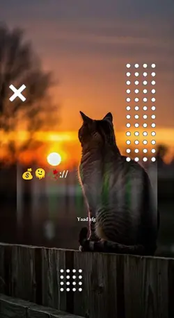 TikTok:Ali.m.yaad25
