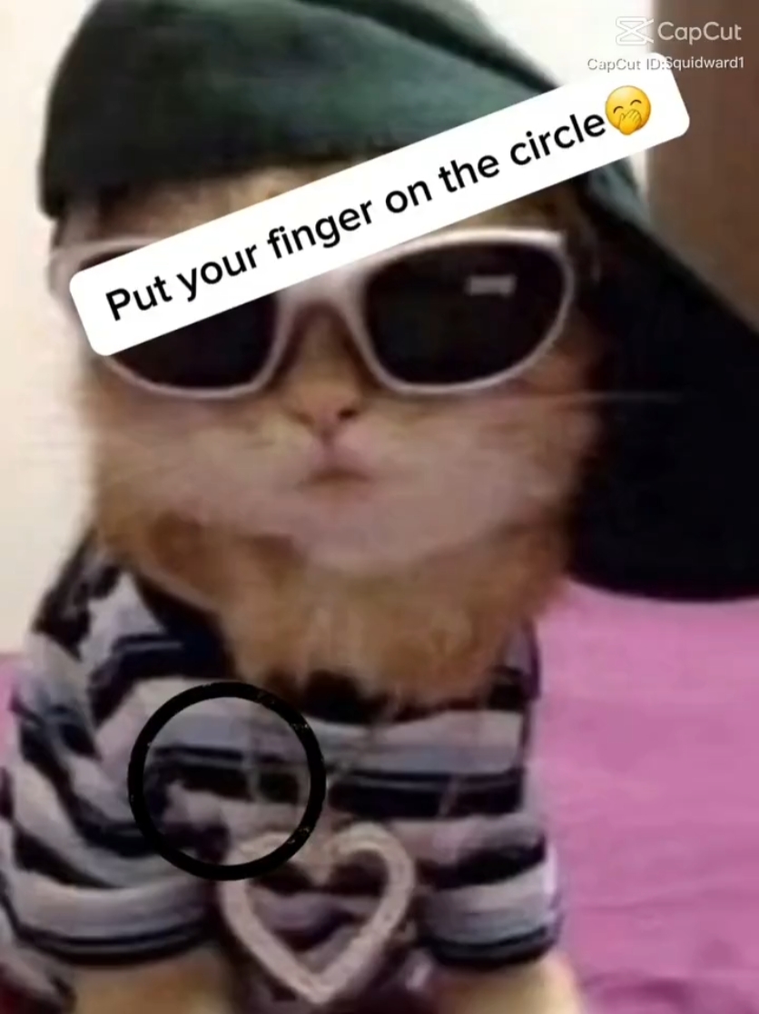 ohh u touched my sus