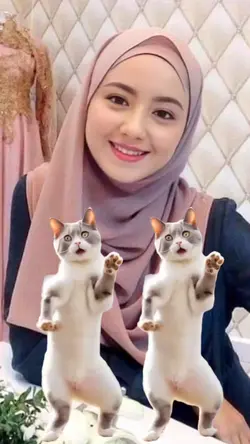 Trend Kucing Joget