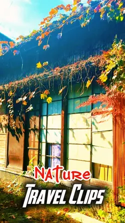 Cinematic Travel 🥰