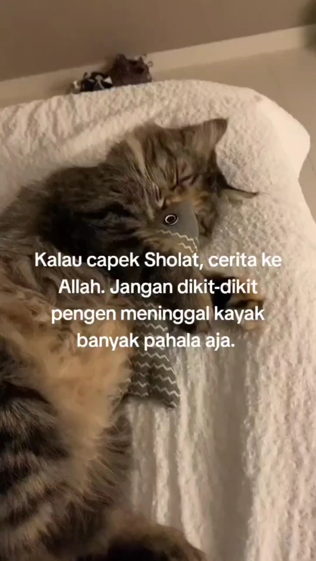 bener ga nih