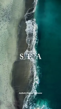 Vitamin Sea 