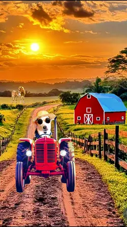 Driving My Tractor