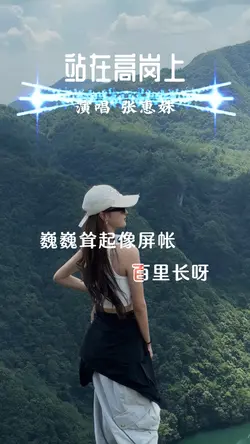 站在高岗上Dj版
