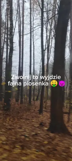 Zwolnij!