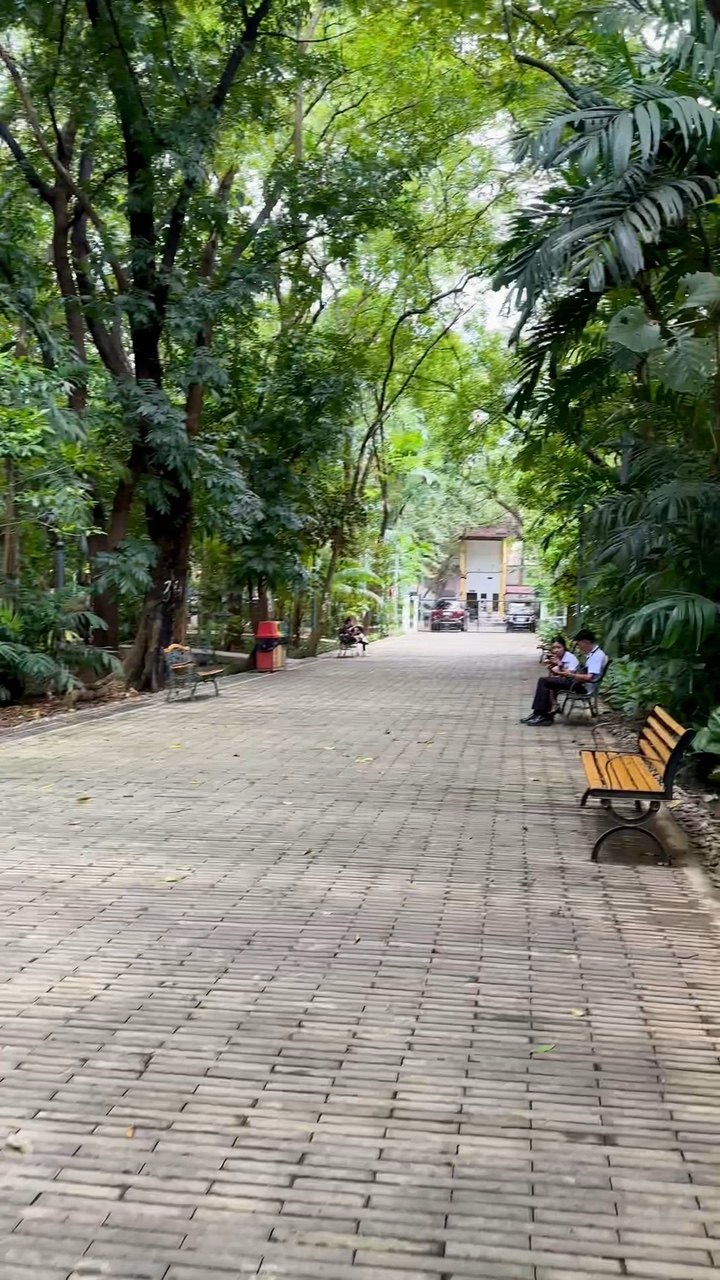kebijaksanaan