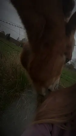 Sie heilt mich
