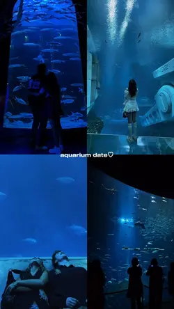 Aquarium Date