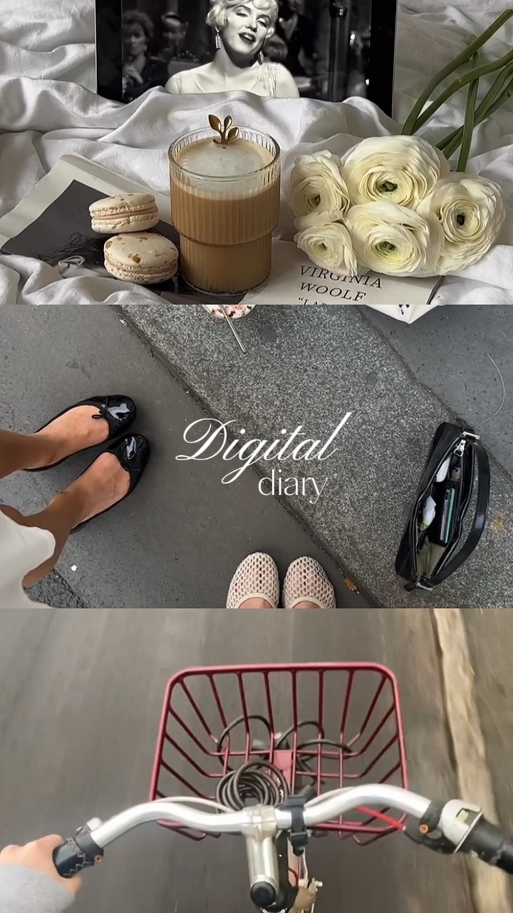 digital dairy 