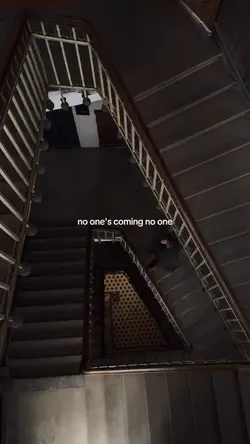 no ones coming