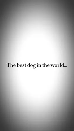 Best Dog